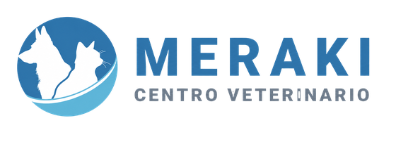 Centro Veterinario Meraki